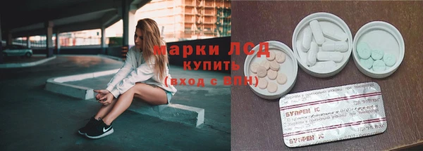 гидропоника Белокуриха