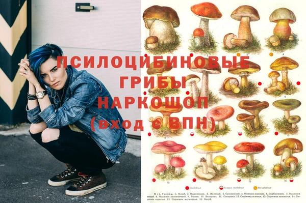 ПСИЛОЦИБИНОВЫЕ ГРИБЫ Беломорск