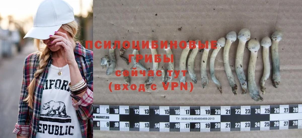 гидропоника Белокуриха