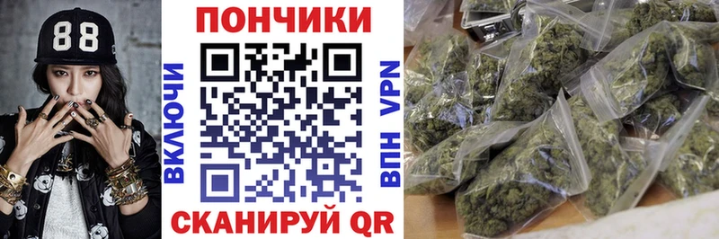 Шишки марихуана индика  где купить наркоту  Волхов 